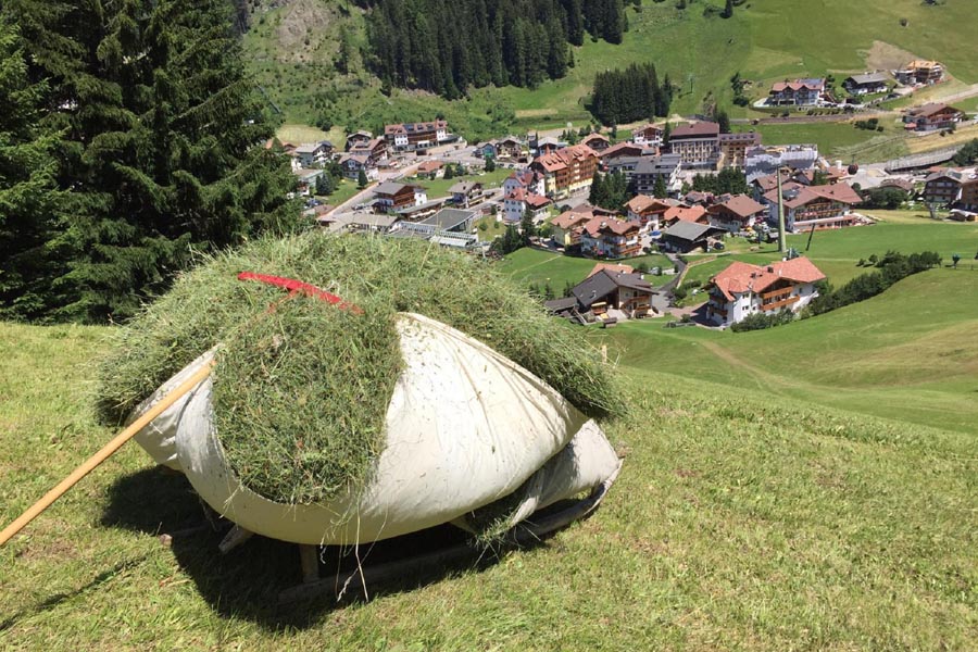 Dolomites in summer