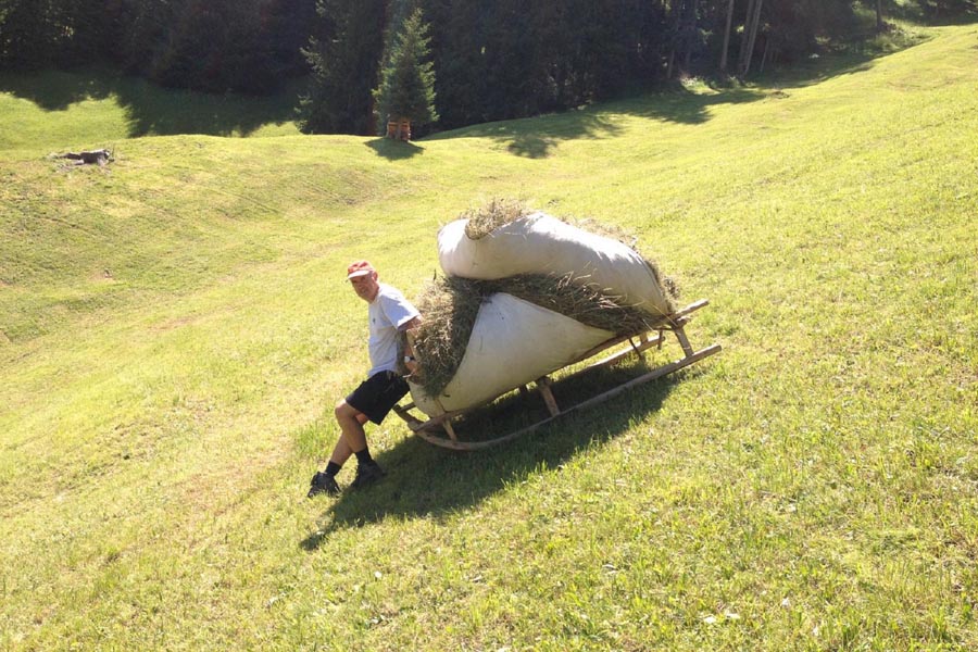 Working in summer