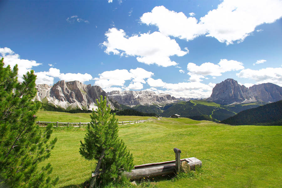 View from Seceda